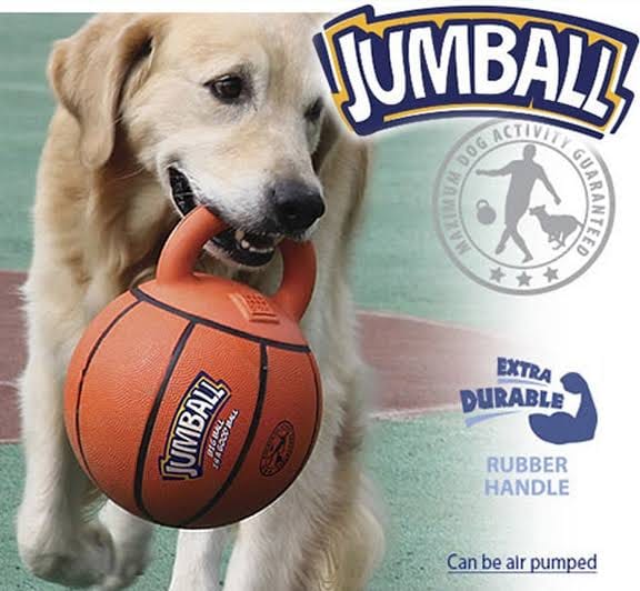 Jumball Basketball Dog Toy Pilbara Pet Supplies