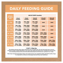 Load image into Gallery viewer, IVORY COAT Grain Free Chicken Puppy 13kg