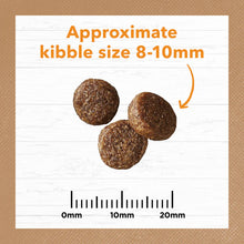 Load image into Gallery viewer, IVORY COAT Cat Adult Chicken Grain Free 4kg