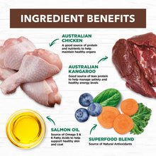 Load image into Gallery viewer, IVORY COAT Cat Adult Grain Free Chicken &amp; Kangaroo 4kg