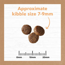 Load image into Gallery viewer, IVORY COAT Kitten Chicken Grain Free 2kg