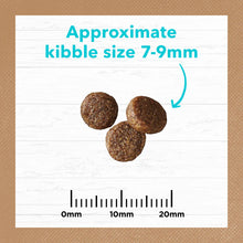 Load image into Gallery viewer, IVORY COAT Cat Adult Grain Free Ocean Fish &amp; Salmon 4kg