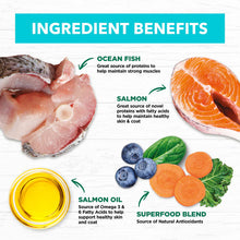 Load image into Gallery viewer, IVORY COAT Cat Adult Grain Free Ocean Fish &amp; Salmon 4kg