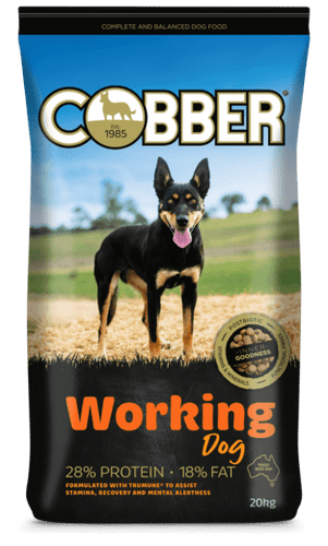 COBBER Working Dog 20kg