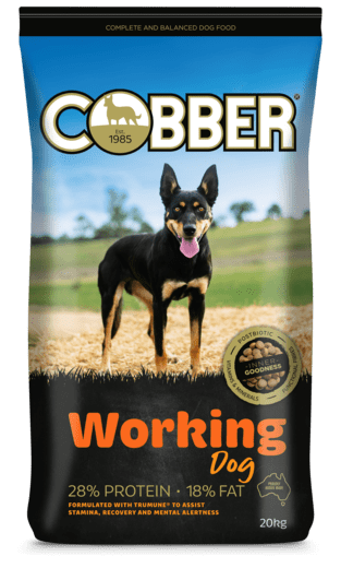 COBBER Working Dog 20kg