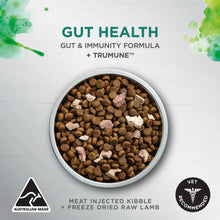 Load image into Gallery viewer, IVORY COAT Dog RAW HEALTH Gut Health Chicken + Freeze Dried Lamb 10kg