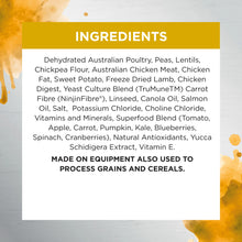 Load image into Gallery viewer, IVORY COAT Dog RAW HEALTH Health &amp; Vitality Roo + Freeze Dried Lamb 10kg