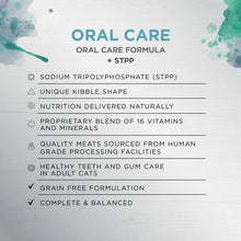 Load image into Gallery viewer, IVORY COAT Cat RAW HEALTH Oral Care Chicken + Freeze Dried Lamb 4kg