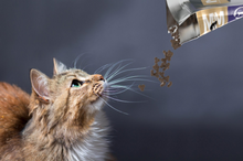 Load image into Gallery viewer, Meals For Meows Cat Kangaroo &amp; Turkey Gluten Free PURPLE