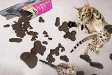 Load image into Gallery viewer, Meals For Meows Cat Mackerel &amp; Salmon Grain Free Gluten Free HOT PINK