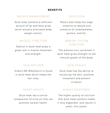 Load image into Gallery viewer, Meals For Meows Cat SINGLE PROTEIN Duck Grain Free Gluten Free 2.5Kg LIME GREEN