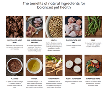 Load image into Gallery viewer, IVORY COAT Dog Grain Free