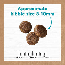 Load image into Gallery viewer, IVORY COAT Cat Adult Grain Free Ocean Fish &amp; Salmon 4kg