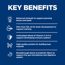 Load image into Gallery viewer, Hill&#39;s Science Diet Kitten Chicken 4kg