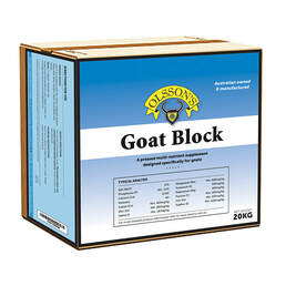 Olssons Block Goat 20kg