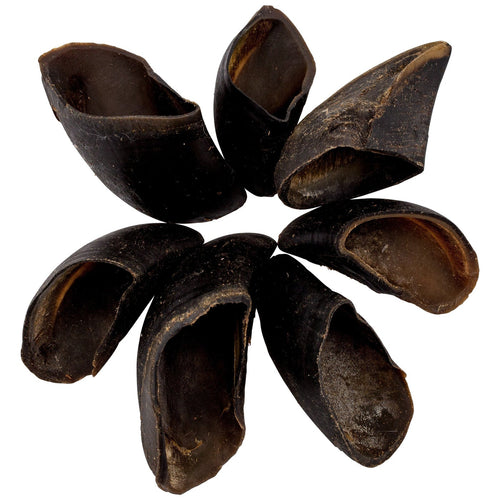 Black Dog Cow Hooves (20)