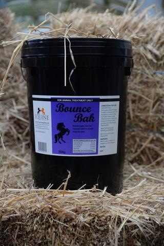 OH - Equine Technology Bounce Bak 5kg