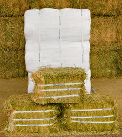 Oaten Compressed Bale