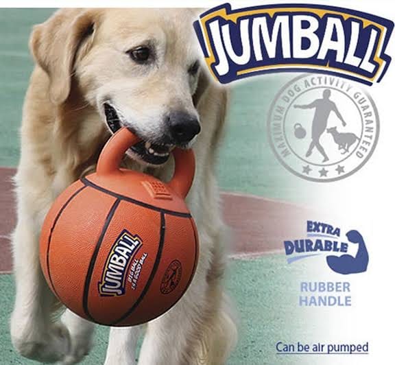 Jumball Basketball Dog Toy