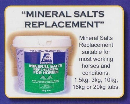 Endeavon Mineral Salt Replacer 3kg