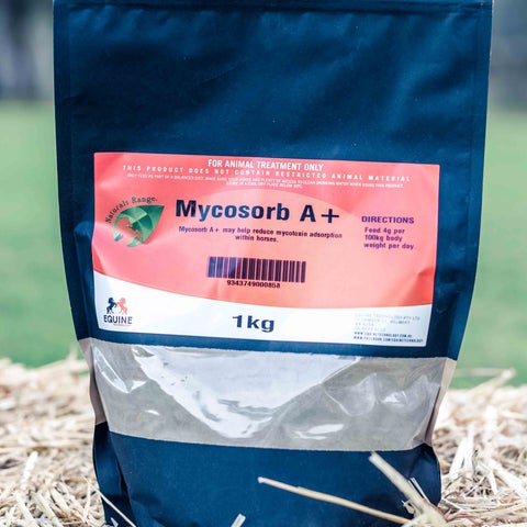 OH - Mycosorb A+ 1kg