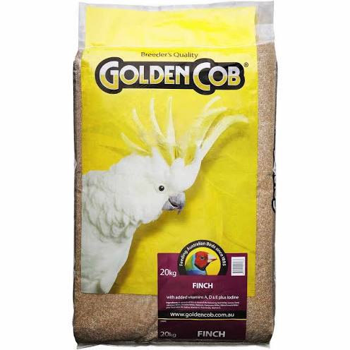 Golden Cob Finch