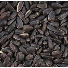 Sunflower Seed Black 20kg