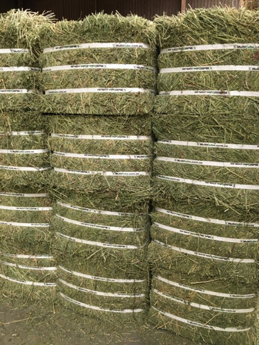 Compressed Lucerne Hay