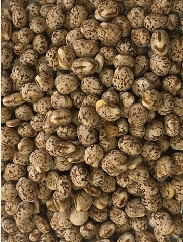 T & R Lupins Whole 25kg