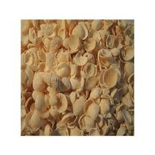 Whole Shell 13kg